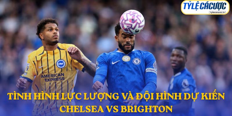 Thông tin đội hình dự kiến Chelsea vs Brighton