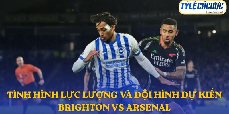 Thông tin đội hình dự kiến Brighton vs Arsenal